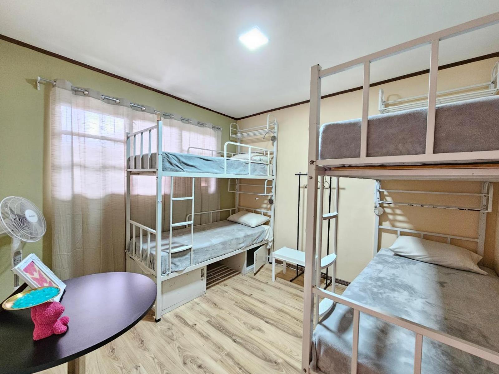 Hostel La Cali Inn San Jose  Eksteriør bilde